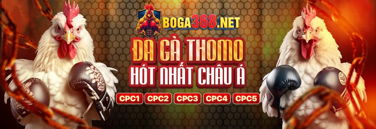 Đá gà trực tiếp Bồ 67